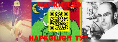 тгк Новозыбков
