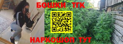 тгк Новозыбков