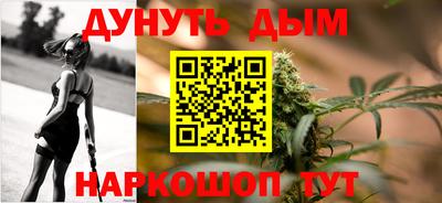 тгк Новозыбков