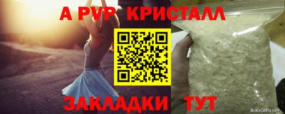 тгк Новозыбков