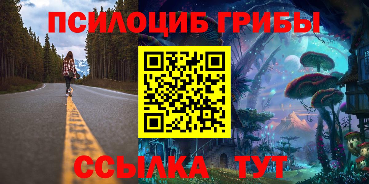 Псилоцибиновые грибы мицелий Улан-Удэ
